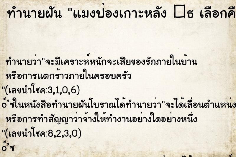 ทำนายฝันทำนายฝันแมงป่องเกาะหลัง�¸เลือกคืนที